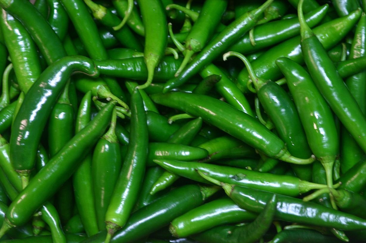 FRESH Green Chilli 500g